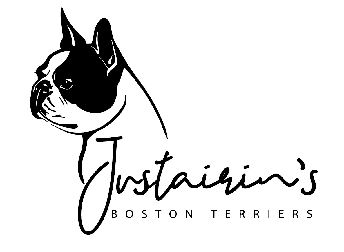 JUSTAIRIN'S Boston Terriers